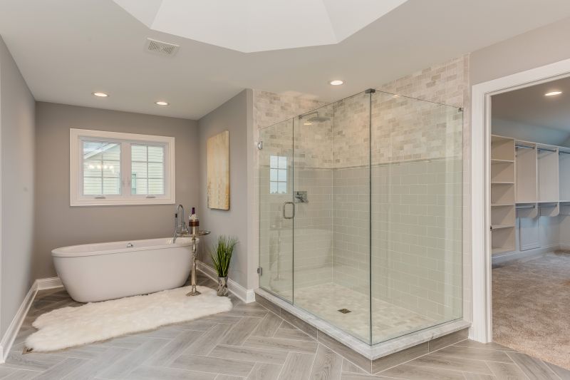 Walk-In Shower with Glass Panel